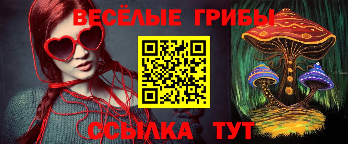 Псилоцибиновые грибы GOLDEN TEACHER Керчь